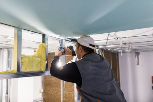 Best Commercial Insulation in Pontotoc, MS