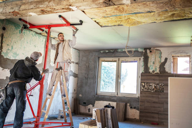 Best Cellulose Insulation in Pontotoc, MS