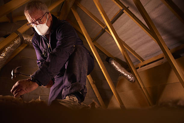 Types of Insulation We Offer in Pontotoc, MS