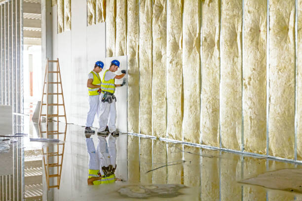 Best Geographic-Specific Insulation Services in Pontotoc, MS